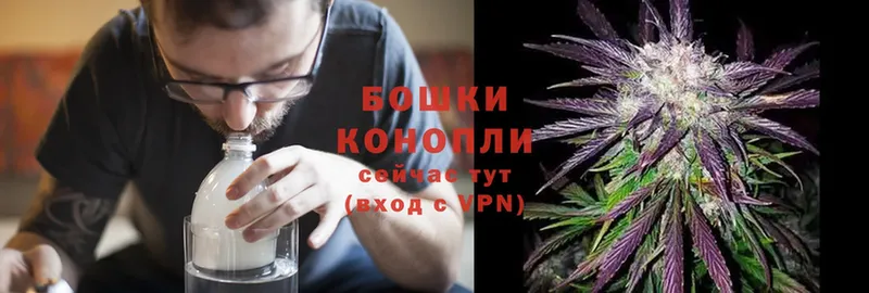 Бошки марихуана Ganja  Княгинино 